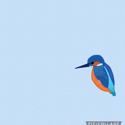 いってんななばい Profile