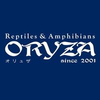 ＯＲＹＺＡ オリュザ (@oryzareptile) 's Twitter Profile Photo