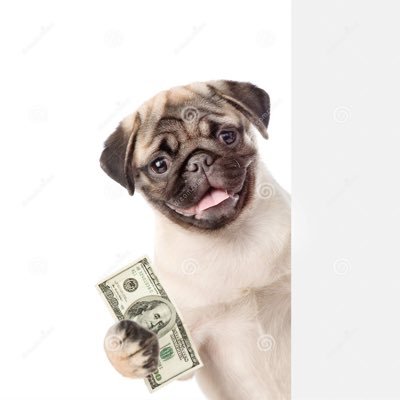 WagWinners's profile picture. Occasional Winners - Brought to you by Wag Straight Bet Record: 18-8 (+13.3 Units) 💸💸💸Teasers: 1-0 (+1.7 Units)