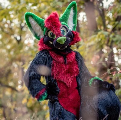 Dongarian1's profile picture. Big and fluffy Wolf / Fluffinator / from Aschaffenburg 🇩🇪
Suit made by @morefurless
Profile picture: @ShizahLombax