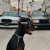 elias glory (@gloryhimself) 's Twitter Profile Photo
