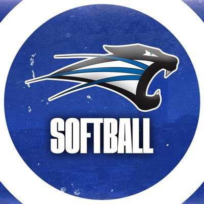 🥎SAINT FRANCIS SOFTBALL🥎 Profile