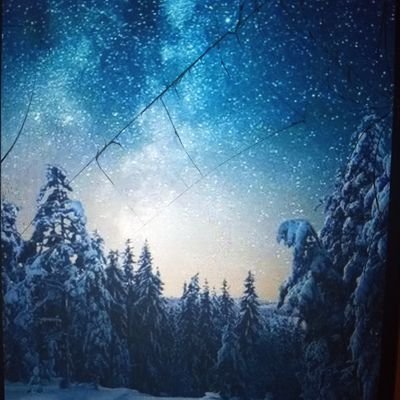 ShawnBl79642233's profile picture. Work hard play hard