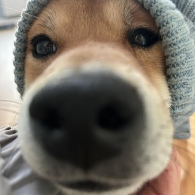 DanialRahimbaev's profile picture. 