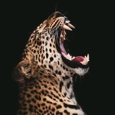 ItumelengChaka6's profile picture. Y