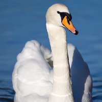 Pics from world (@picsfromworld69) 's Twitter Profile Photo