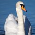 Pics from world (@picsfromworld69) Twitter profile photo Pics from world (@picsfromworld69) Twitter profile photo