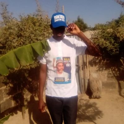 SANISAI34251761's profile picture. Iam a Business person, my vision is my dream