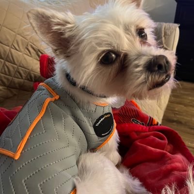 EllenForehand's profile picture. 