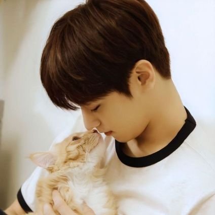 j48862608's profile picture. J❤J