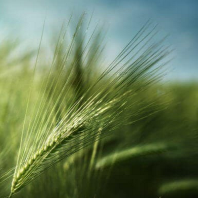 TheBenParker's profile picture. well, i want to do better. I want us all to do better. The bar is low