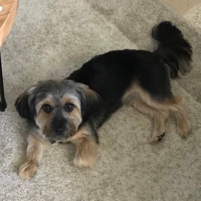 fidfloridalife's profile picture. 