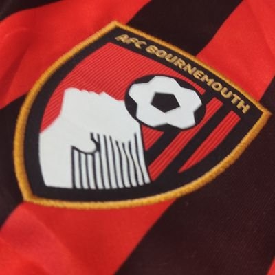 @afcbmne