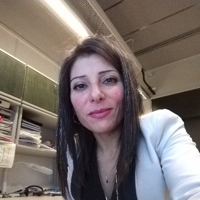 AliNsrein's profile picture. Senior Researcher at University of Oulu