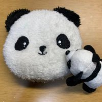 ゆうくん🐤🐼(@Yuta_piyo_) 's Twitter Profile Photo