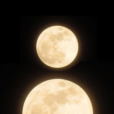 1mview1's profile picture. 