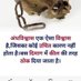 G.Singh (@mohittilskns1) Twitter profile photo G.Singh (@mohittilskns1) Twitter profile photo