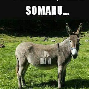 giancarlofornit's profile picture. 