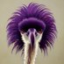 Nostrich (@nostr_ostrich) Twitter profile photo Nostrich (@nostr_ostrich) Twitter profile photo