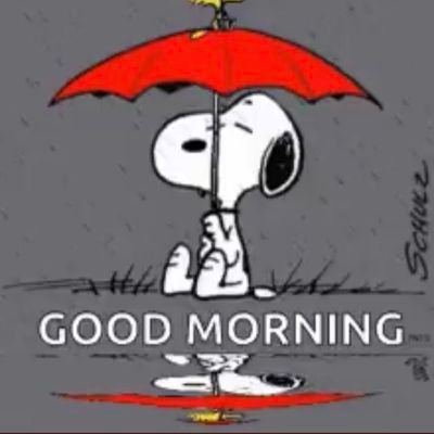 Vininunes183's profile picture. 