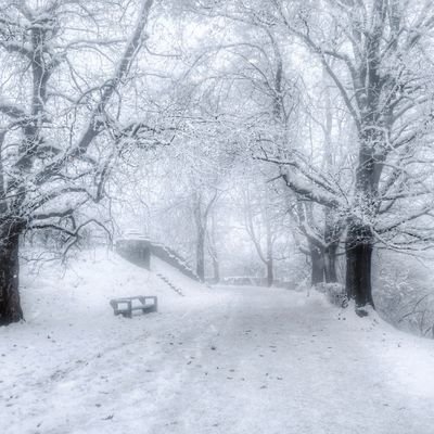 PresernovaM's profile picture. 