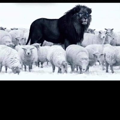 Store2Eco's profile picture. 20 Abs 4 GG. Gegen jeden, der es unternimmt, diese Ordnung zu beseitigen, haben alle Deutschen das Recht zum Widerstand, wenn andere Abhilfe nicht möglich ist.