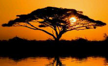 IvanHynes's profile picture. 