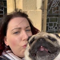 Q (@qmeista2) 's Twitter Profile