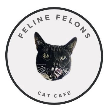 Feline Felons Cat Cafe is coming soon to southern Maryland.  years of animal welfare, kitten and cat fostering and an undying love for all things cats.