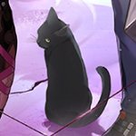 Daily account for Elio from Honkai: Star Rail | mun: they/them | muse: he/they | Not affiliated with MiHoYo/Hoyoverse | I'm the cat