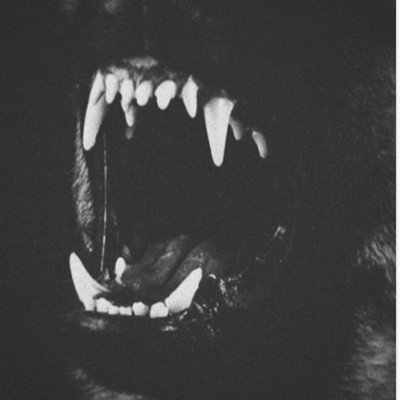 UkukNeil's profile picture. have quit twitter g’bye