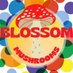 Blossom Capsules and Orion Cannabis (@blendingllc) Twitter profile photo Blossom Capsules and Orion Cannabis (@blendingllc) Twitter profile photo