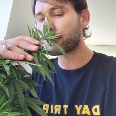 🇲🇽Mexican-Canadian🇨🇦 cannabis activist / R&D / farmer / breeder / writer / Co-founder @cannareps /
CEO at Book Club /