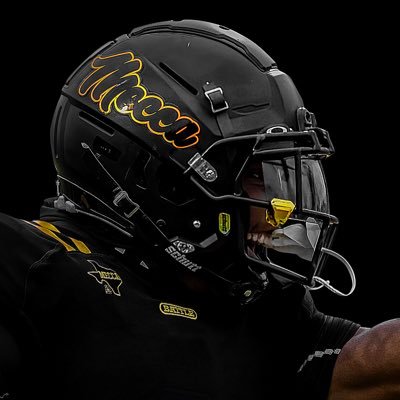 SOCGoldenBearFB Profile Picture