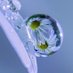 340Dewdrops