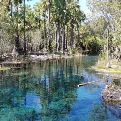 Ex-CEO, science author. Only connect.
Mataranka & Pentecost River at El-Questro.