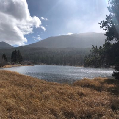 C17109099C's profile picture. Crypto enthusiast.