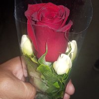 Luishot (@luishot6927) 's Twitter Profile