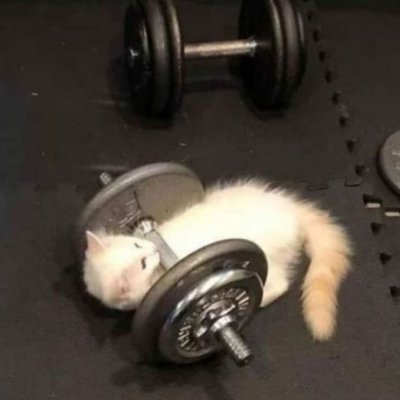 neutrokkj's profile picture. 