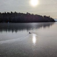 Damon Topolie (@dtop77) 's Twitter Profile