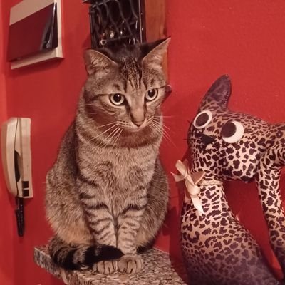 DuchessaMinima's profile picture. Questa stupida voglia di vivere sempre...