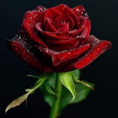 JohnNun2362941's profile picture. 