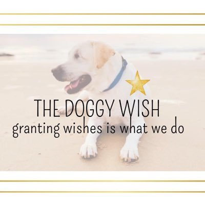 When You Wish Upon a Star.... Our 501 (c) 3 non profit organization will enrich the lives of deserving animals by granting them a meaningful wish.