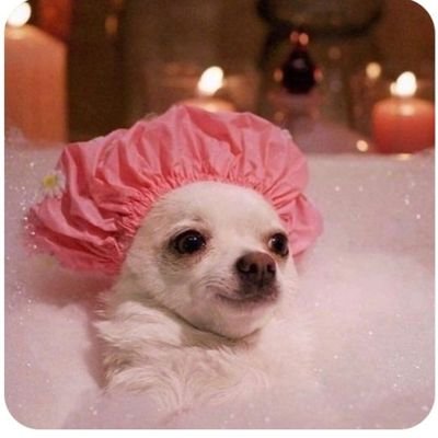 Nvea55331120's profile picture. Estado civil Cansada😌