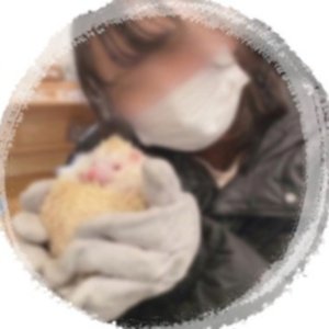 ウラ垢はじめた🐣◌̥*⃝えっちいこと愛してて連日連夜快楽に没頭してる⁂𓈒𓏸

すっごく過 激オ ナとか直ホ テ ルとかしたいひと🌷ɞ
ここDLして→ https://t.co/bBUEqVAWbC