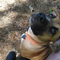 Richard Irwin (@richard71251020) 's Twitter Profile