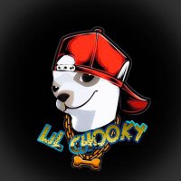 Lil Chooky (@lilchookyerc) 's Twitter Profile