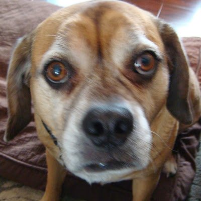 RobertB41759982's profile picture. 