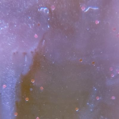 rln222888's profile picture. 