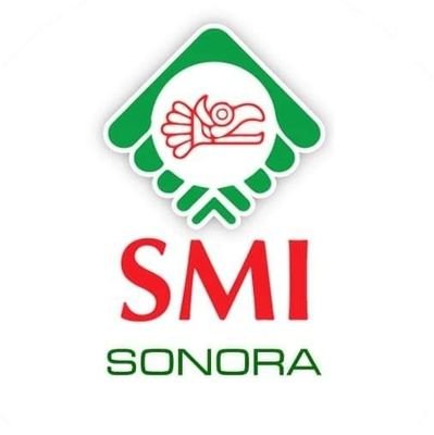 Comité Directivo Estatal de la Sociedad Mexicana de Ingenieros en Sonora.